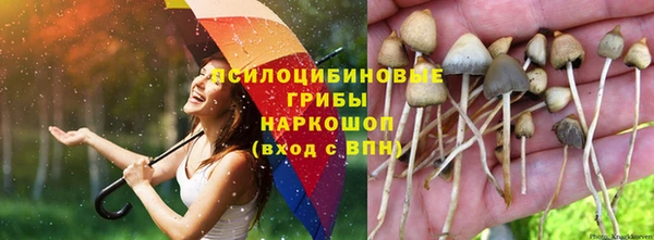 прущий лед Алзамай