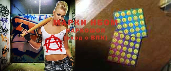 прущий лед Алзамай