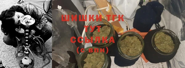 прущий лед Алзамай