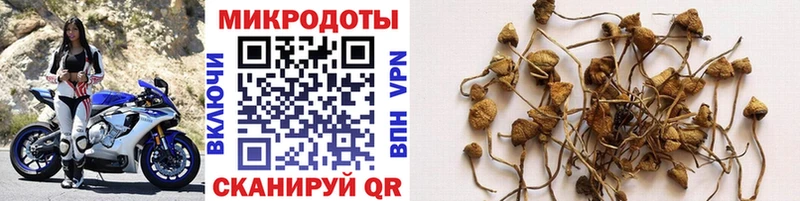 Галлюциногенные грибы ЛСД  купить наркоту  Луга 